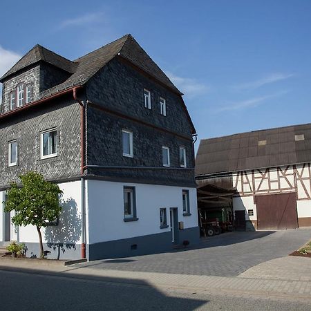 Spacious Holiday Home Between Mosel And Hunsr Ck Blankenrath Buitenkant foto