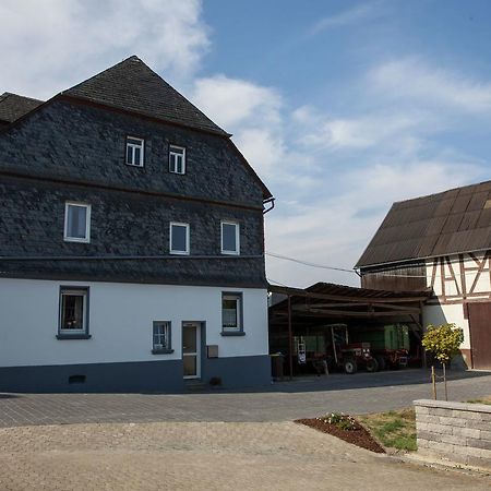 Spacious Holiday Home Between Mosel And Hunsr Ck Blankenrath Buitenkant foto