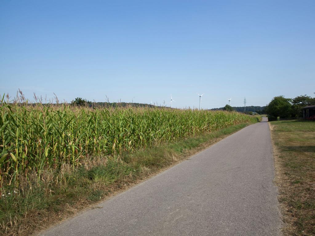 Spacious Holiday Home Between Mosel And Hunsr Ck Blankenrath Buitenkant foto